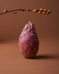 34e32133b5bf3b175454fa402af67bbe